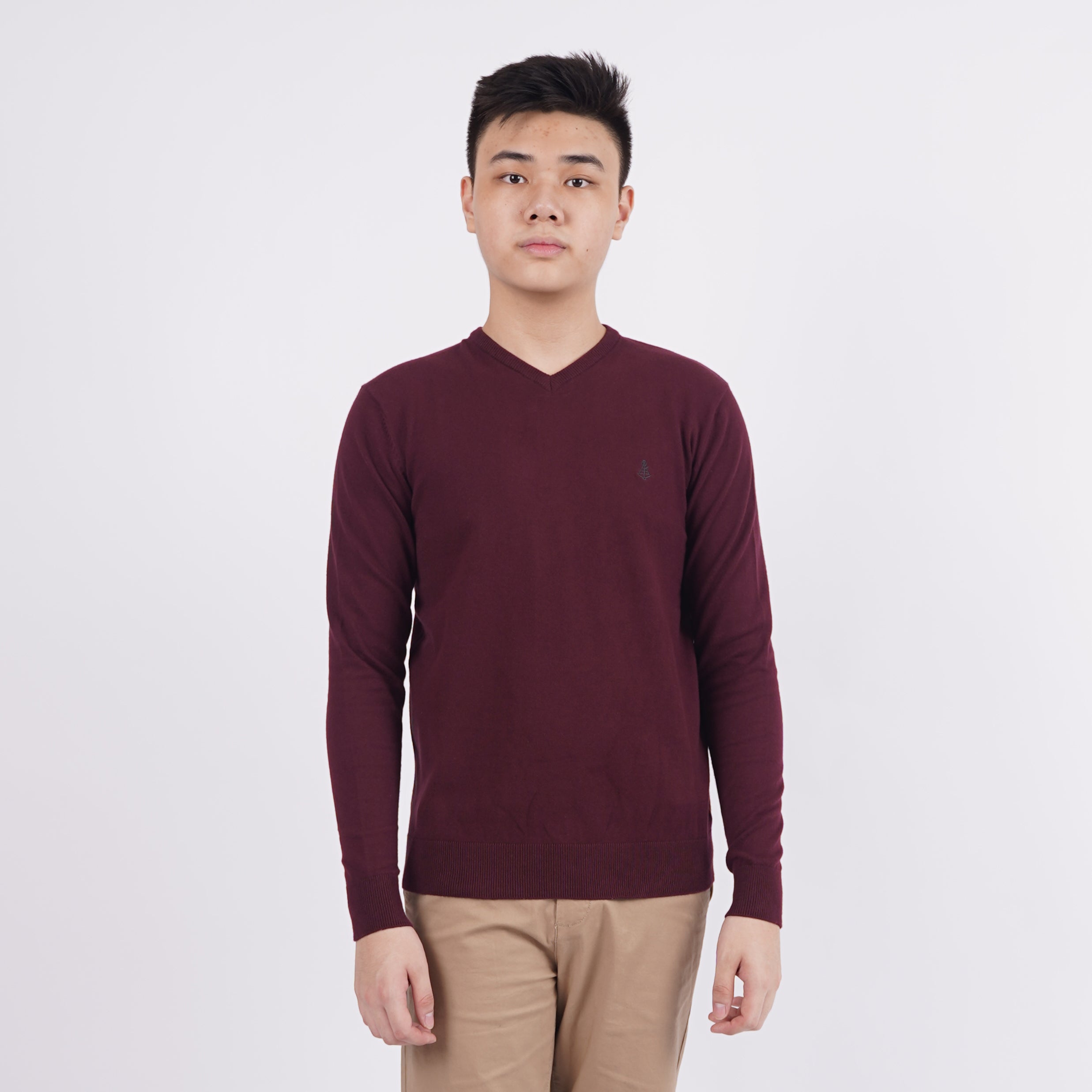 Sweatshirt Pria Kerah V-Neck Tersedia 3 Pilihan Warna [CG-EXPL 01]